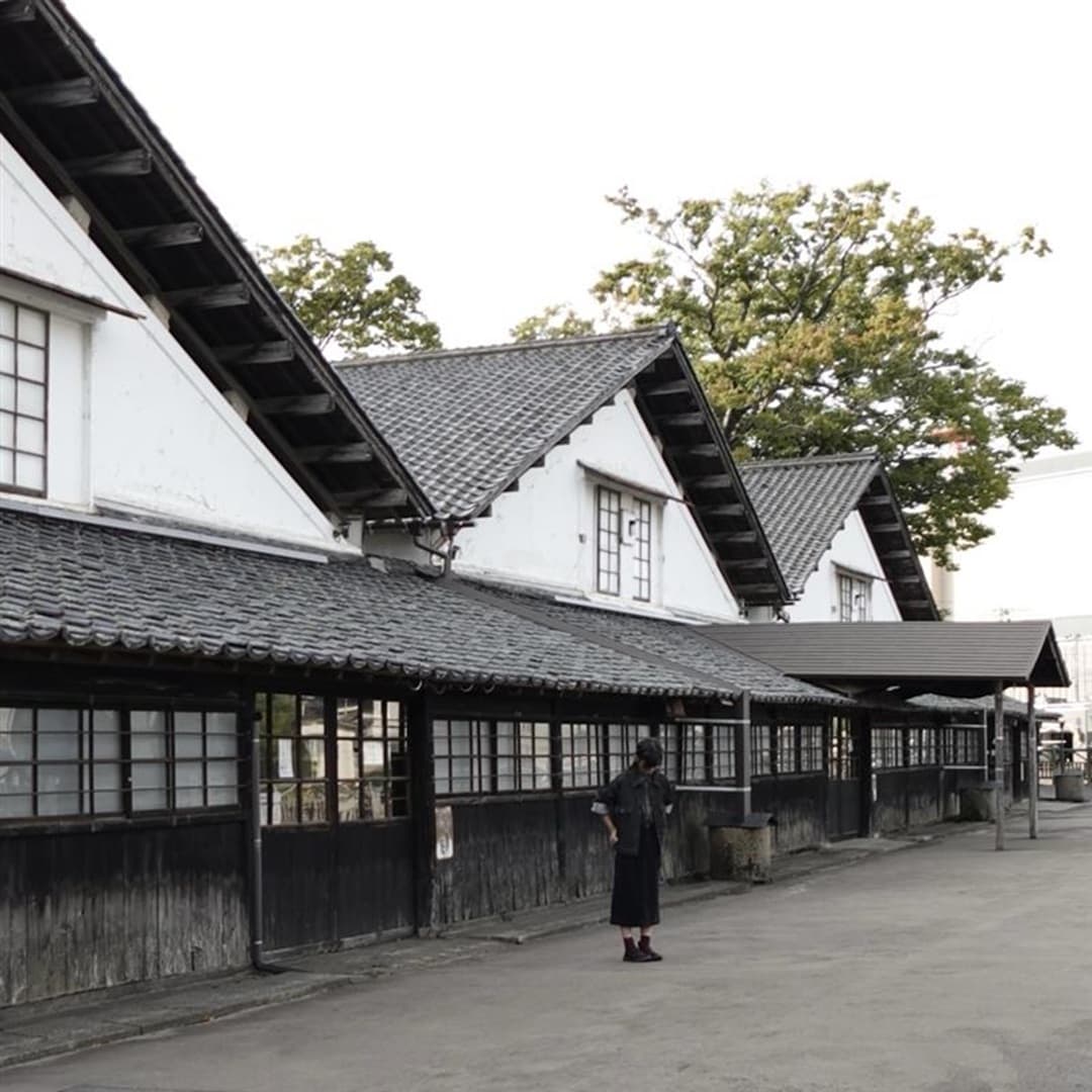 【酒田】秋の酒田を、着る。_zO9MYC