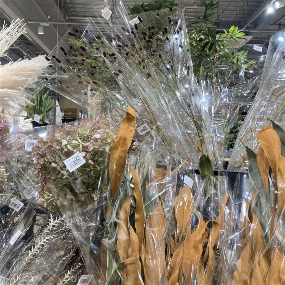 【ヨロッカ春日井】秋を感じる植物_zE68jG