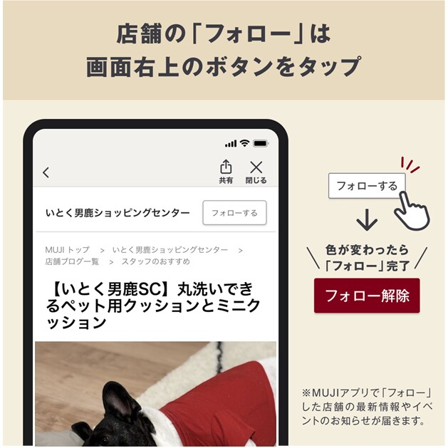 フォローしてね