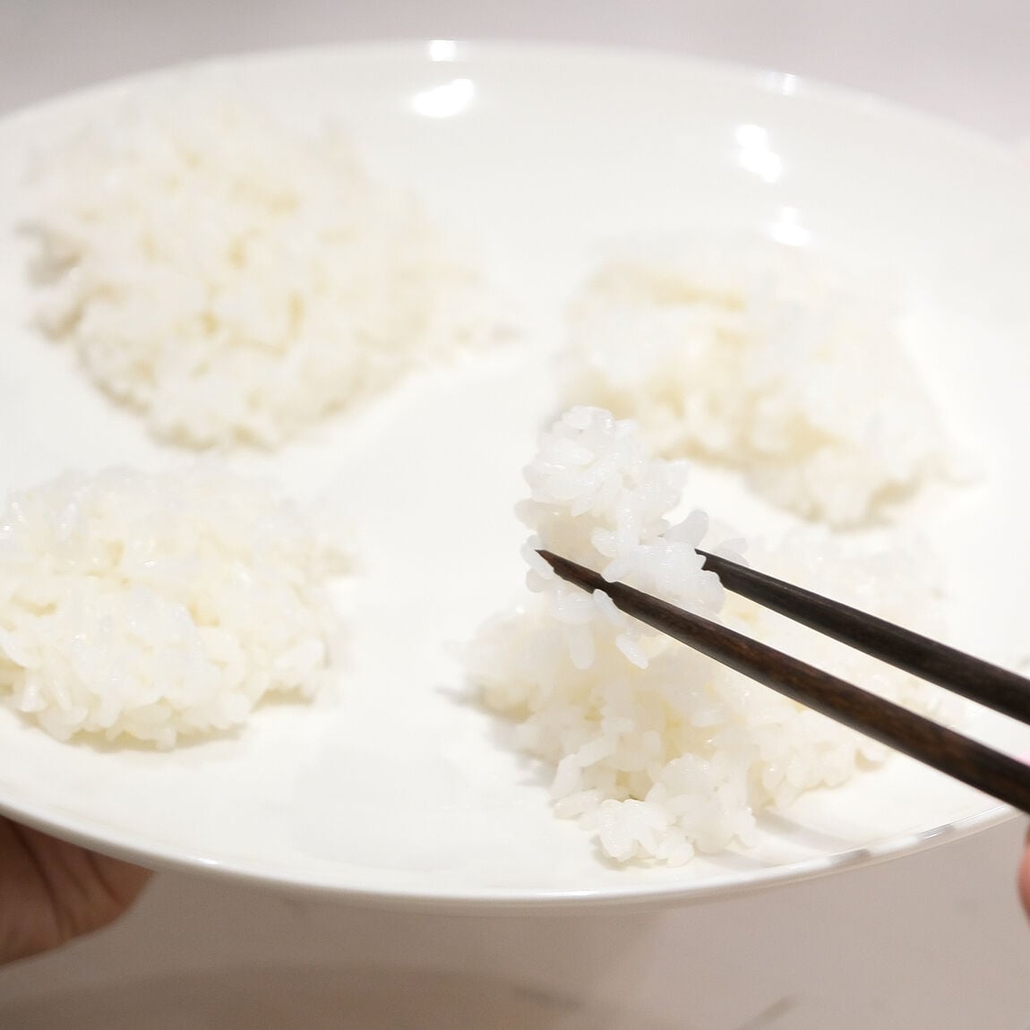 【堺北花田】おいしいお米を炊くコツ｜イベントのお知らせ