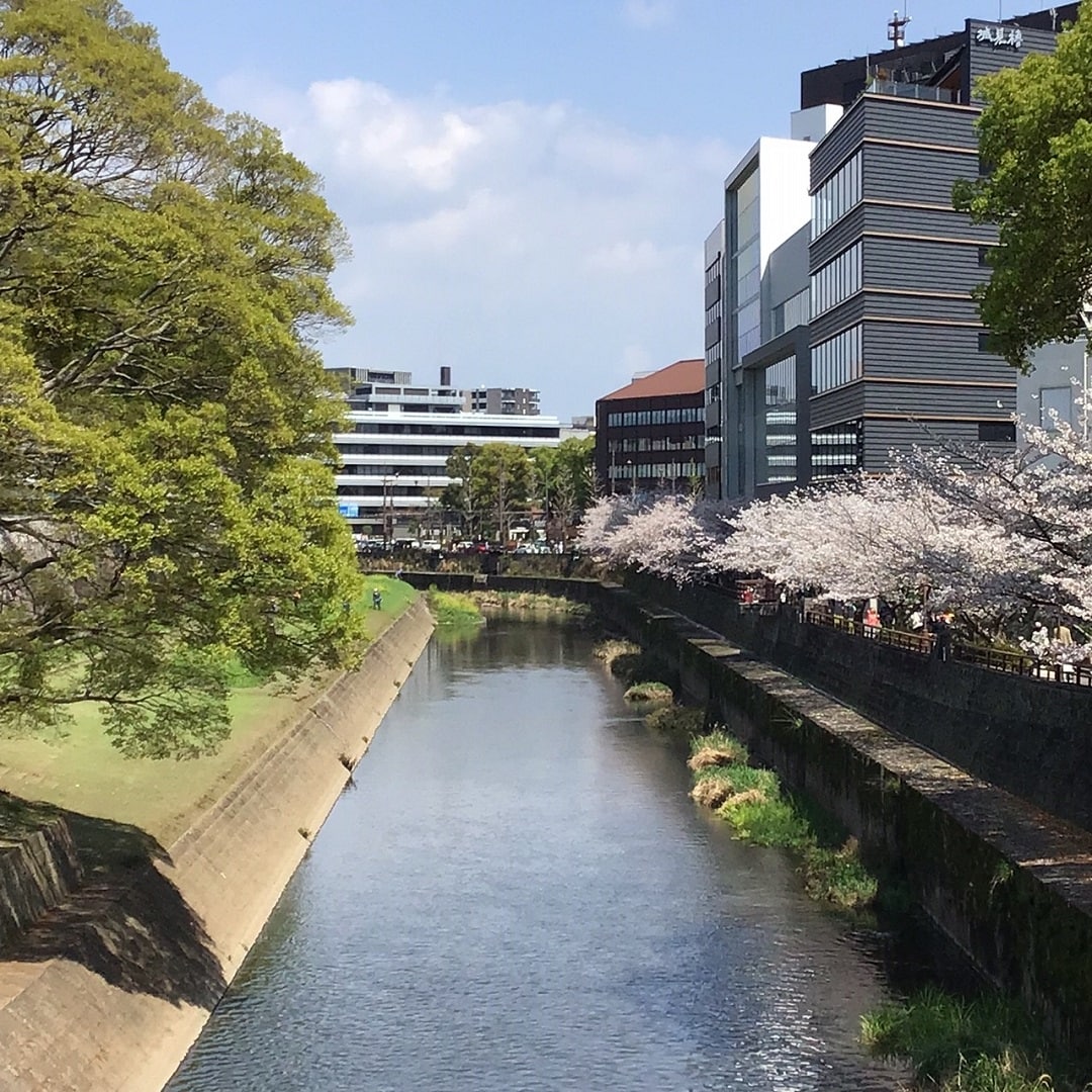 COCOSA熊本下通【】すこし歩くと、熊本城
