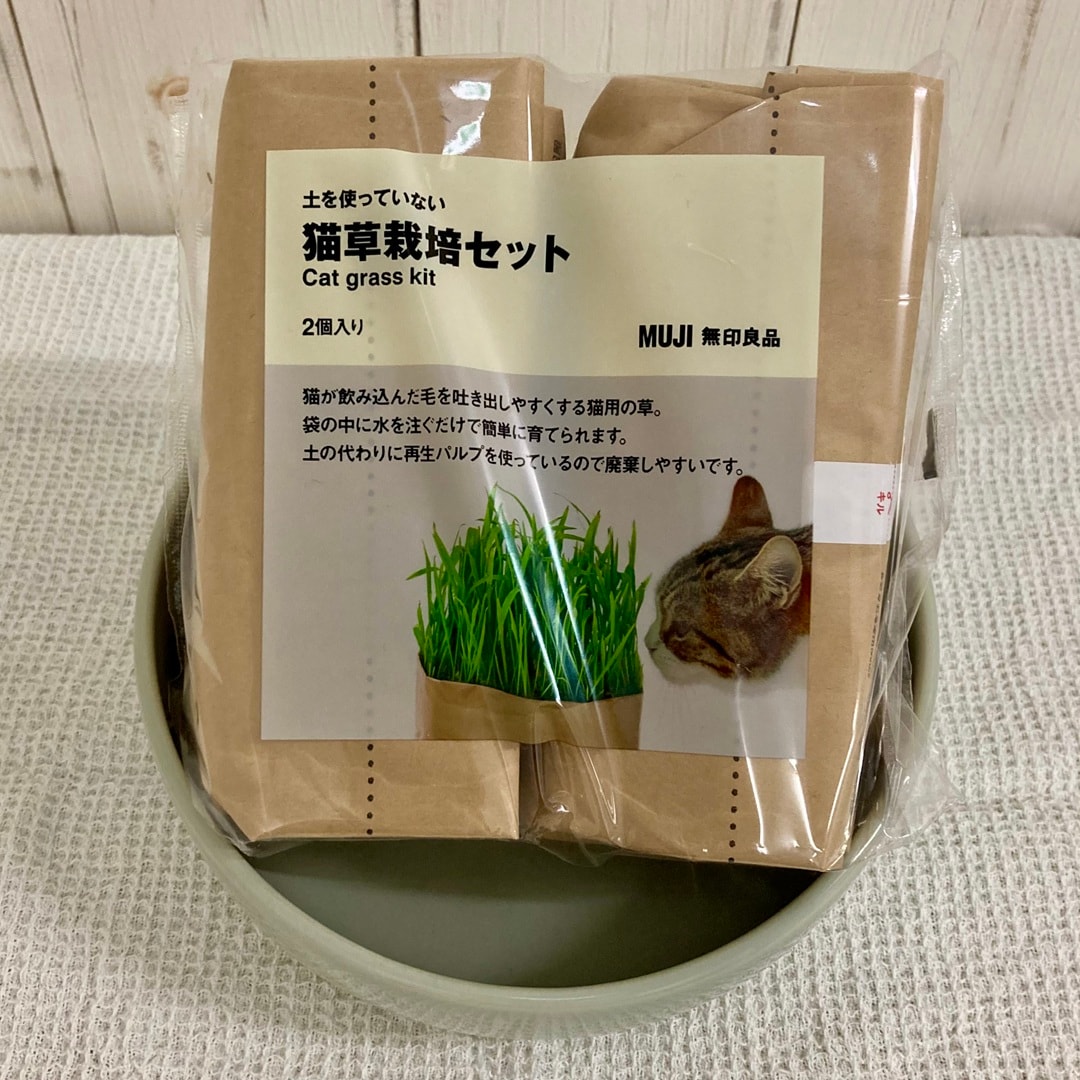 【ピオレ姫路】猫草