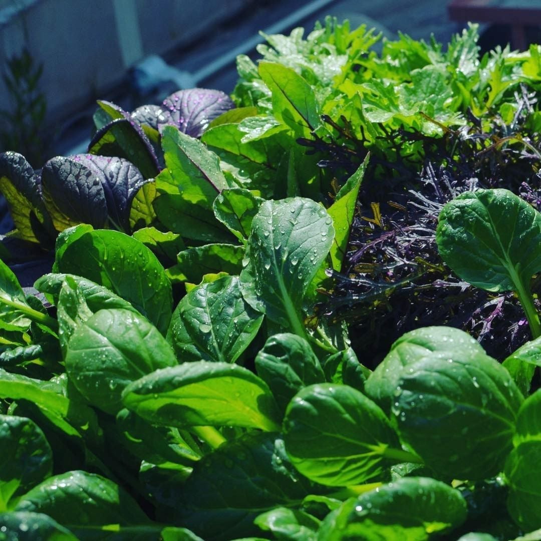 神戸阪急_つながる市