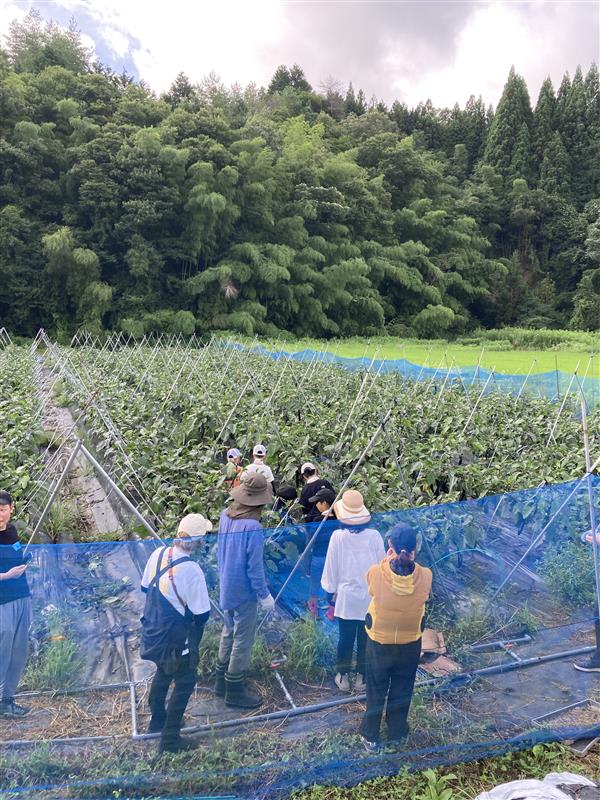 【イオンモール広島府中】お野菜のおはなし