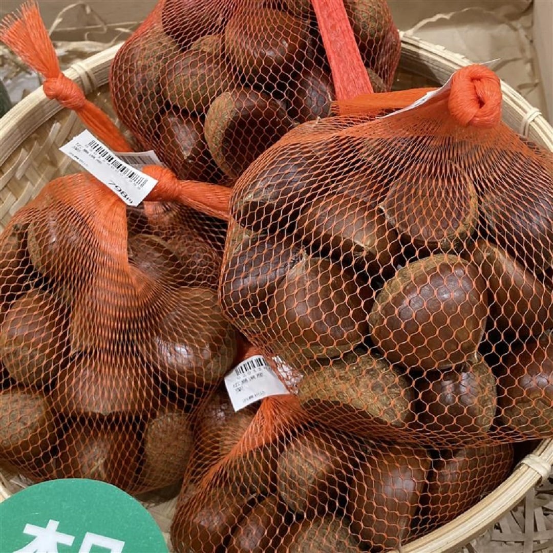 【イオンモール広島府中】10月のお野菜・果物情報