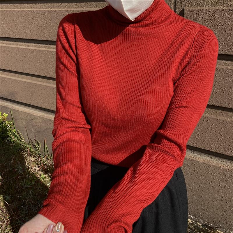 婦人　洗えるウールハイゲージリブタートルネックセーター