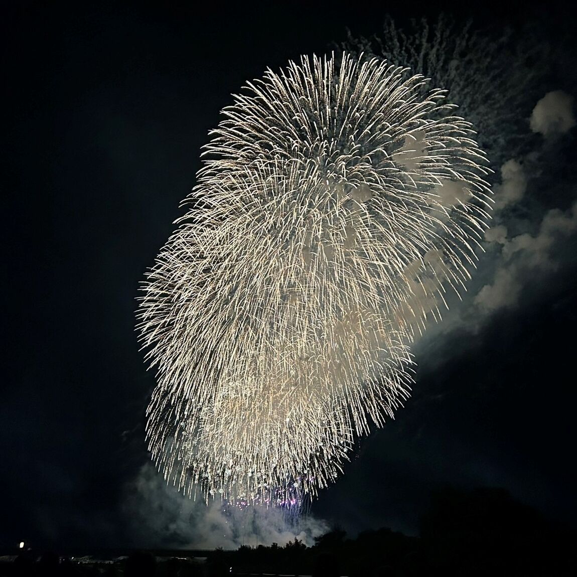 【CoCoLo長岡】 長岡花火レポート　2026_PLEyk9