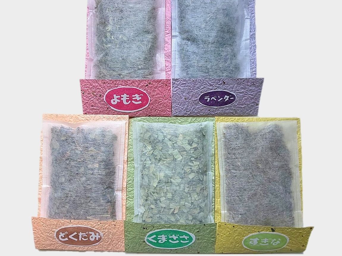  【シエスタハコダテ】『green樹』ポップアップショップ、開催します