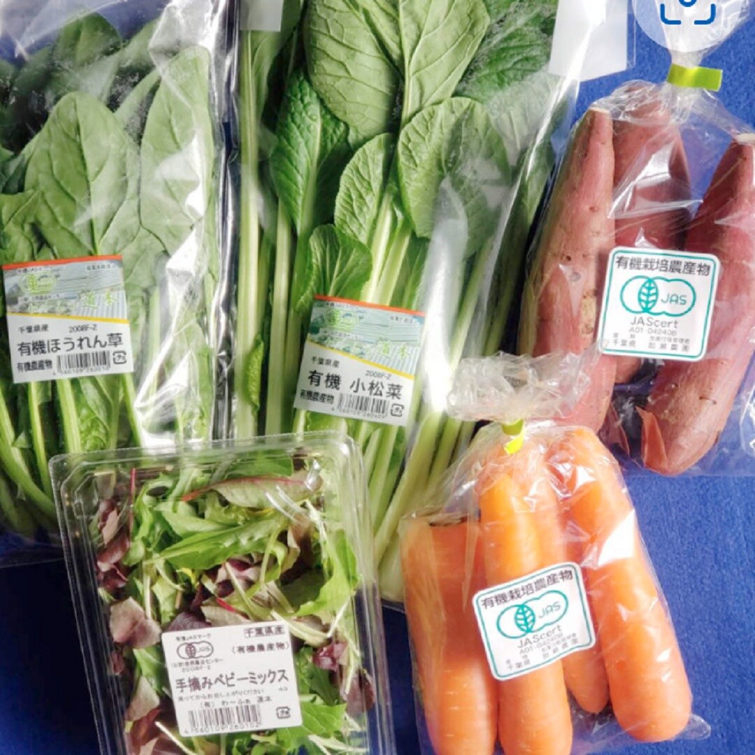 【イオン市川妙典】greener夏祭り