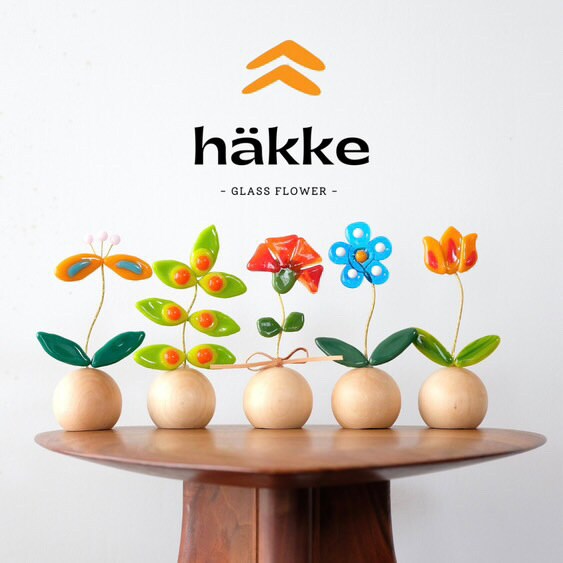 hakke