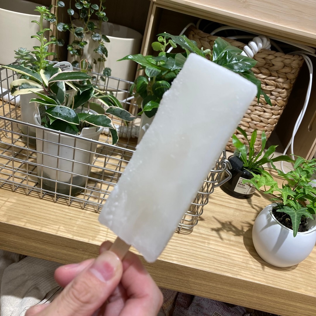 icelemon1