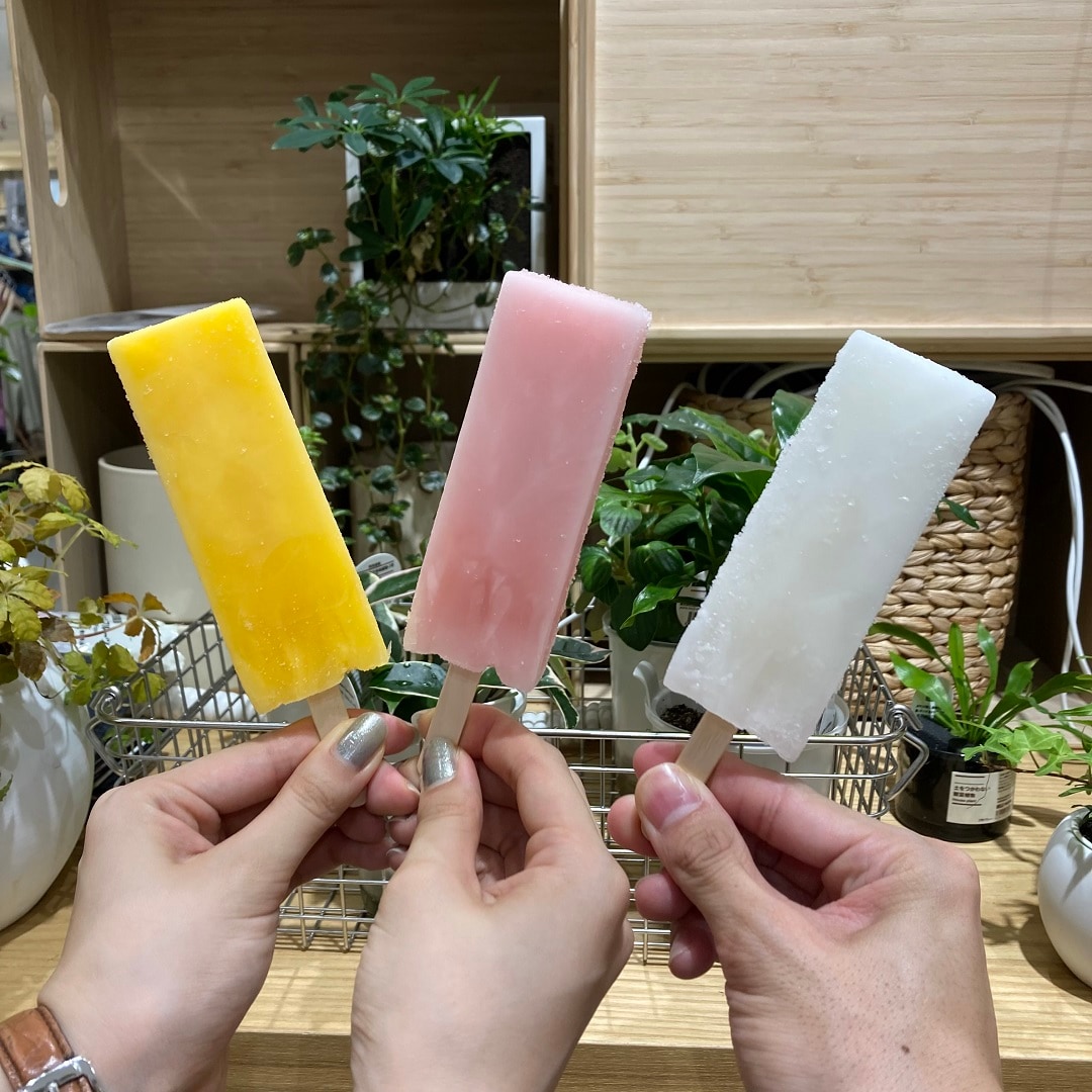 ice1