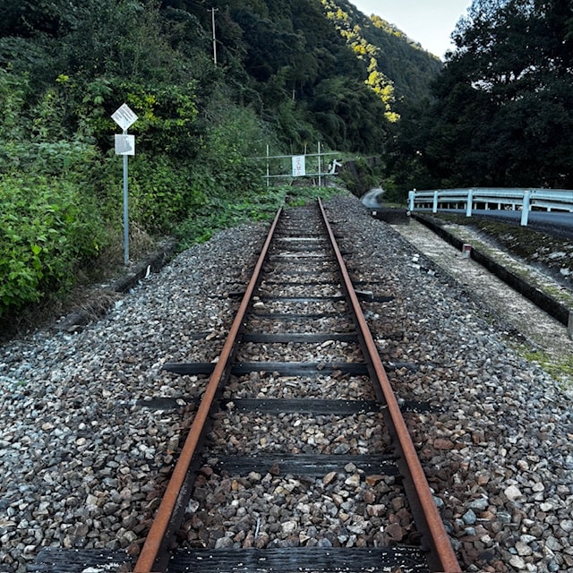 image006.jpg1101_011