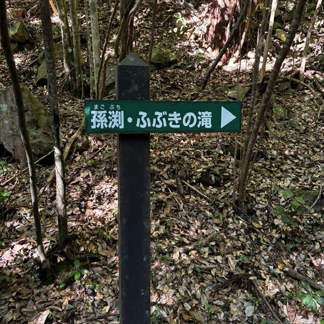 【広島パルコ】 店長のライドな１日　第二章 vol.5｜ 地域情報_9s9Hp1