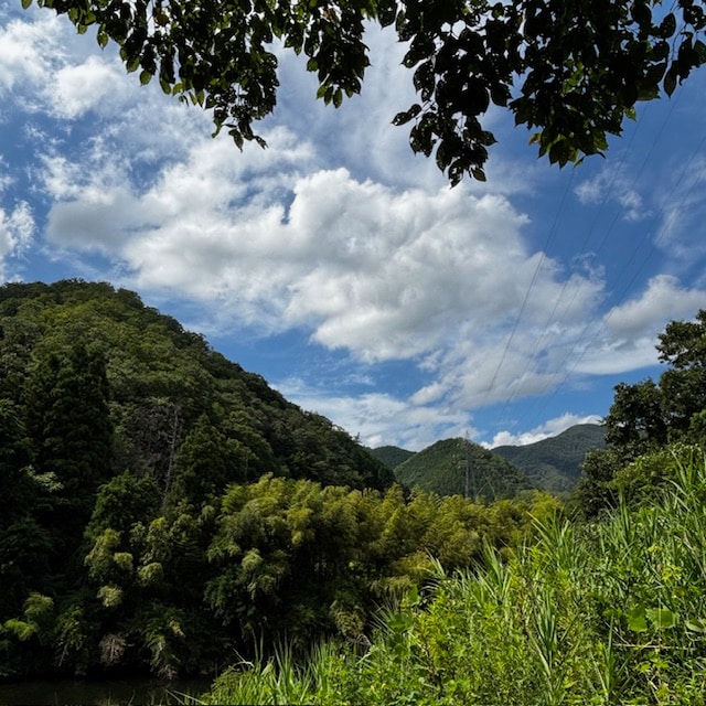 image2015 (1).jpg2