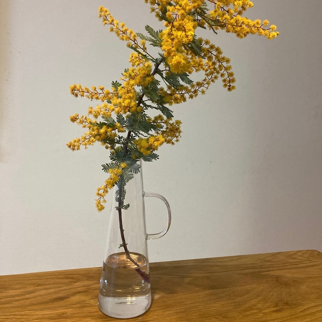 046642_231204_flower3