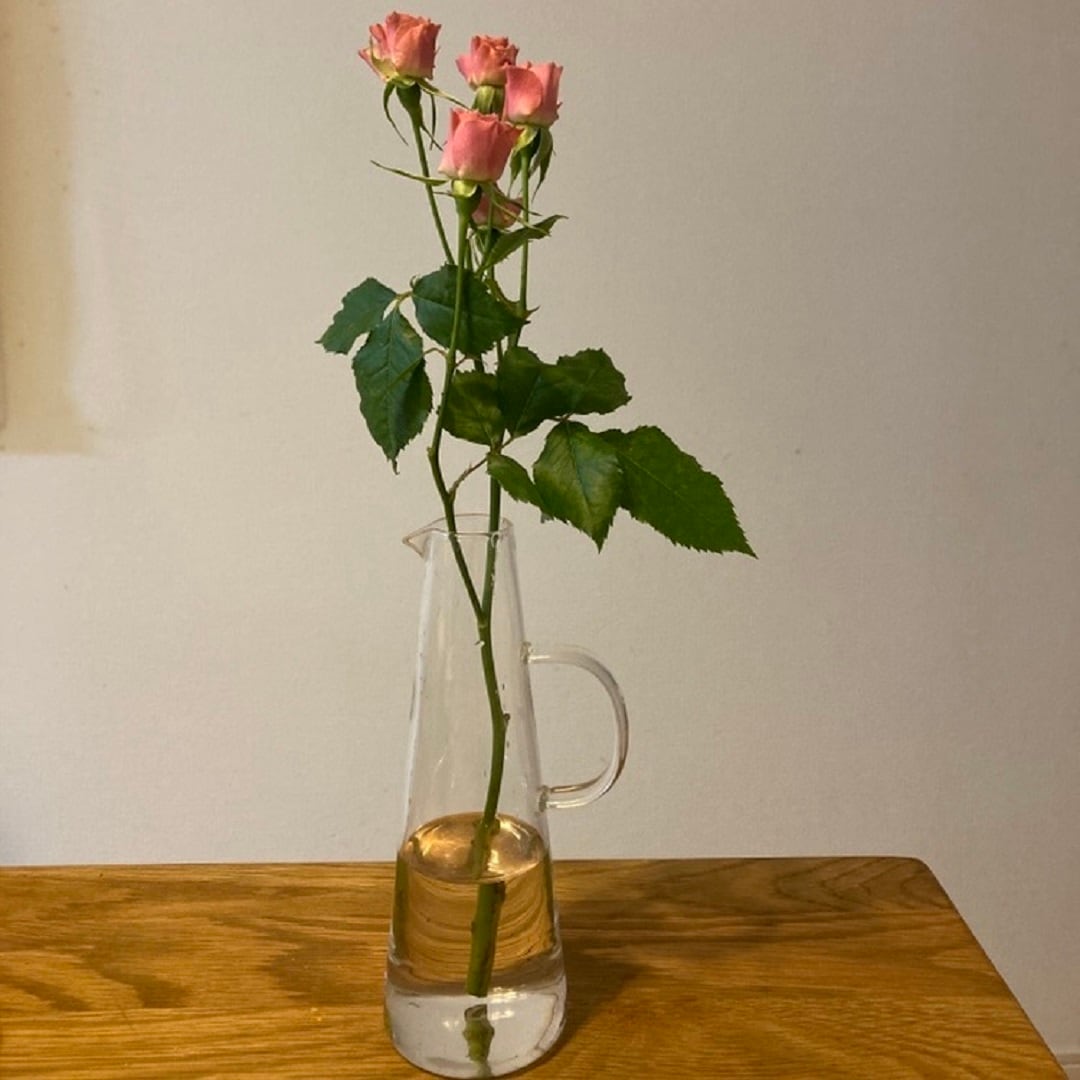 046642_231204_flower3