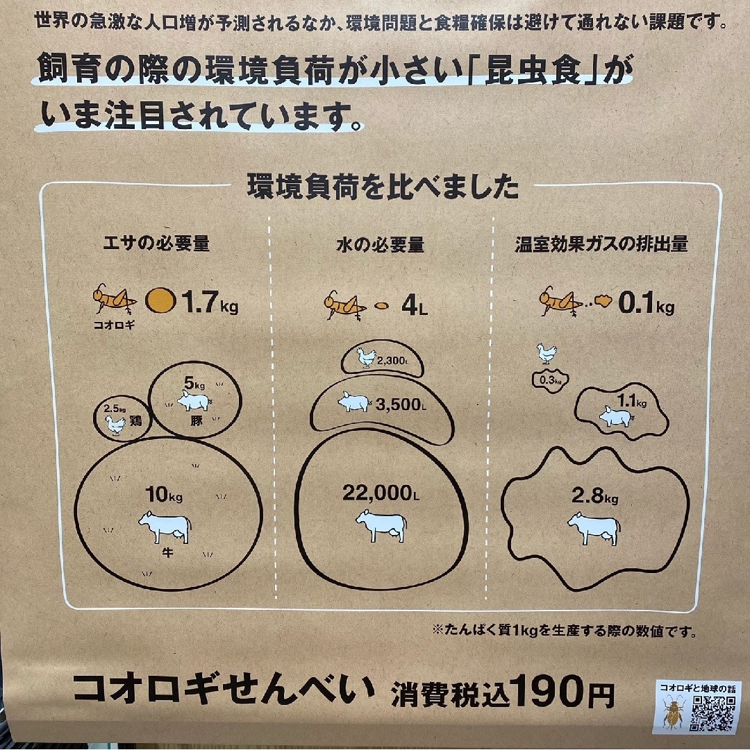 こおろぎわけ