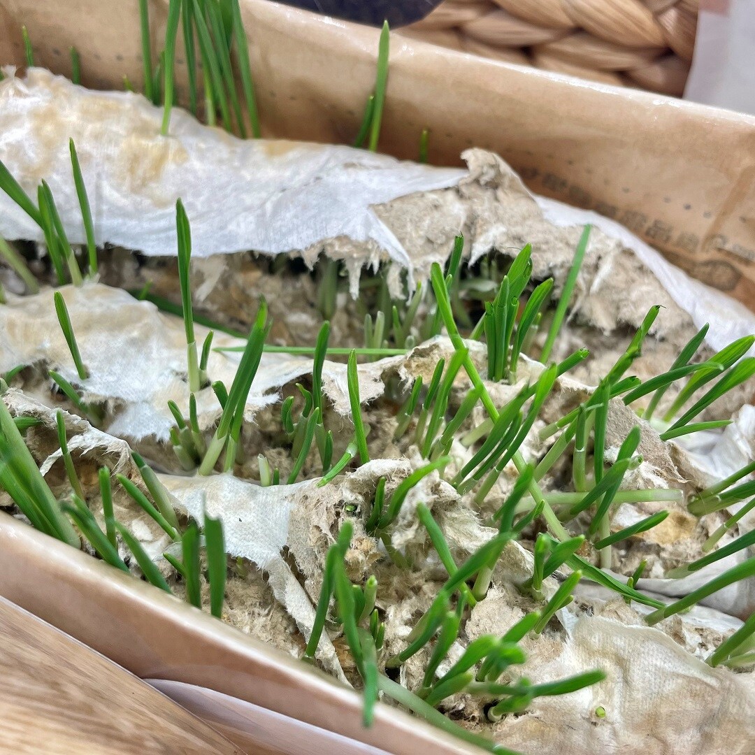イオンモール高崎