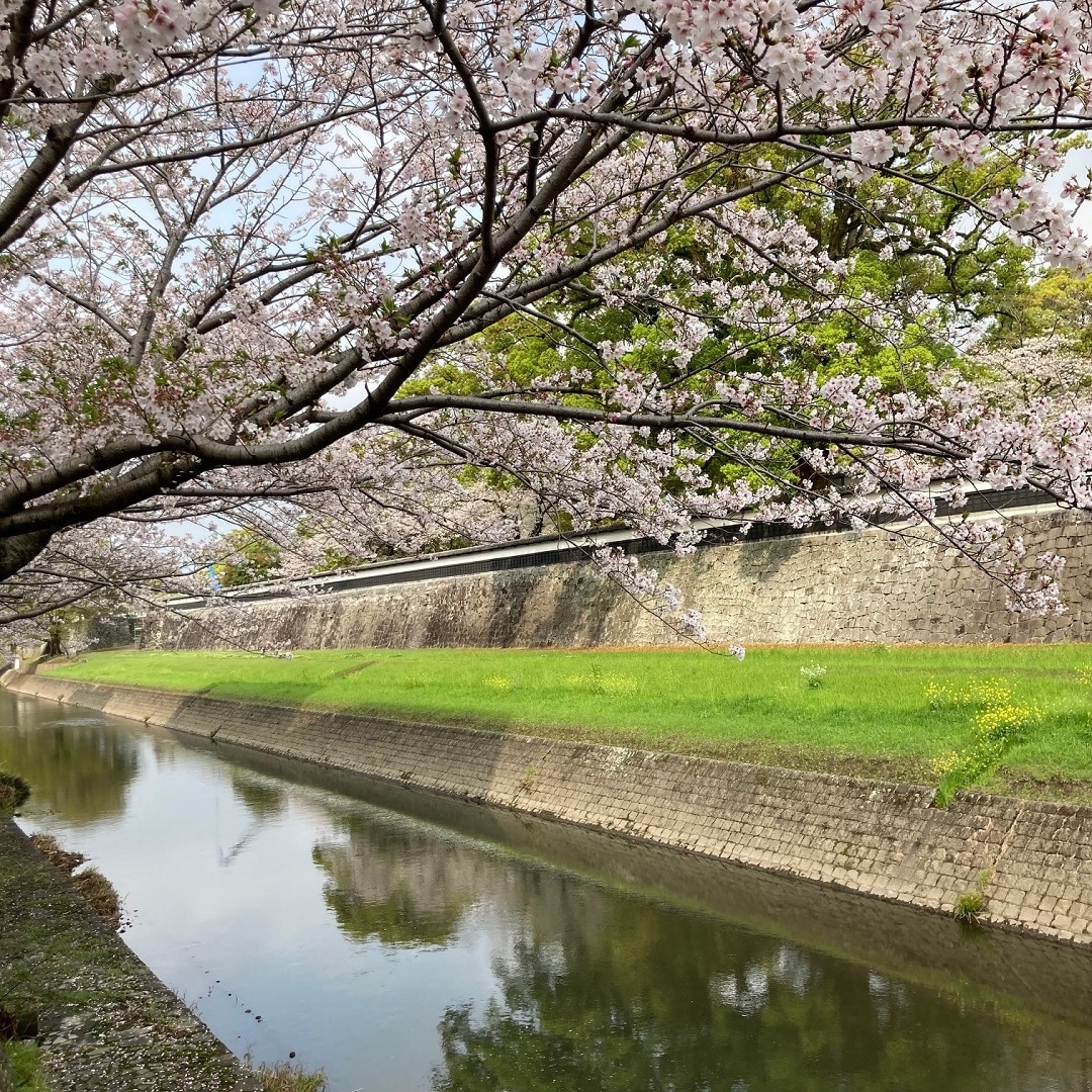 【COCOSA熊本下通】すこし歩くと、熊本城