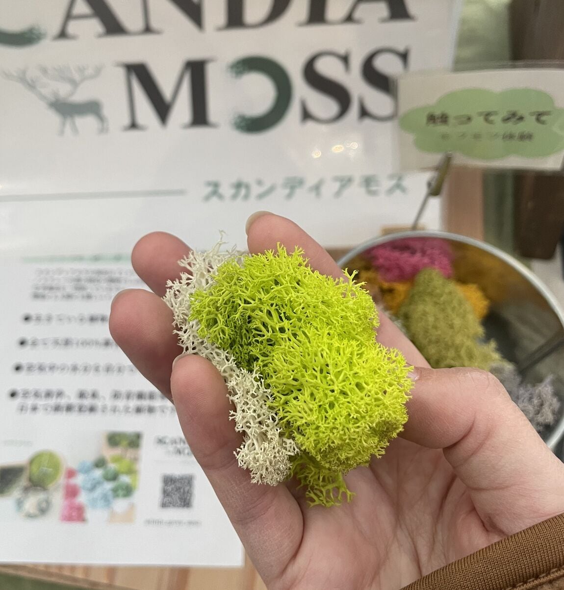 046870－20251111－99－04