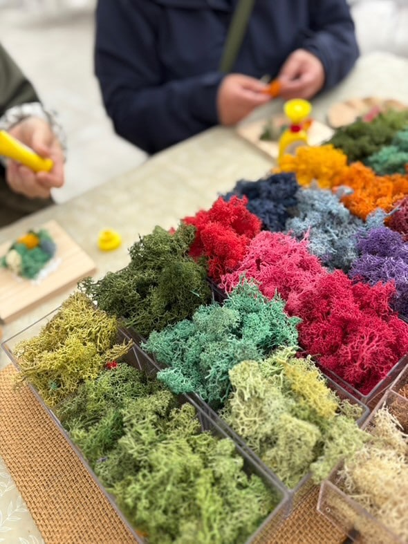 046870－20251111－99－05