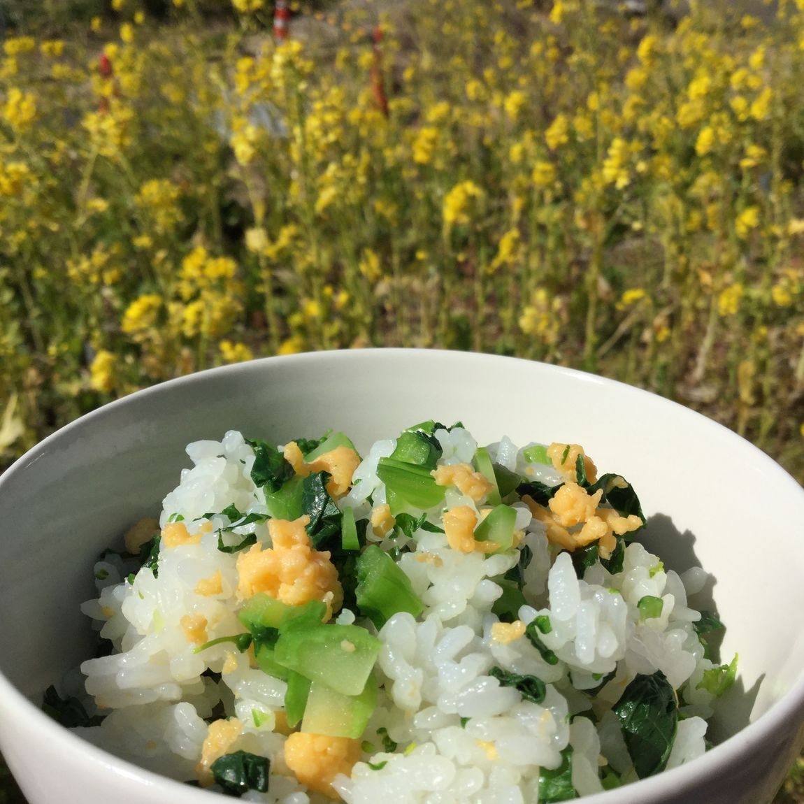 菜の花ごはん