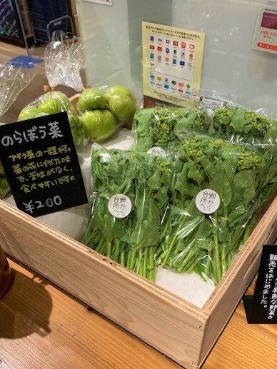 のらぼう３