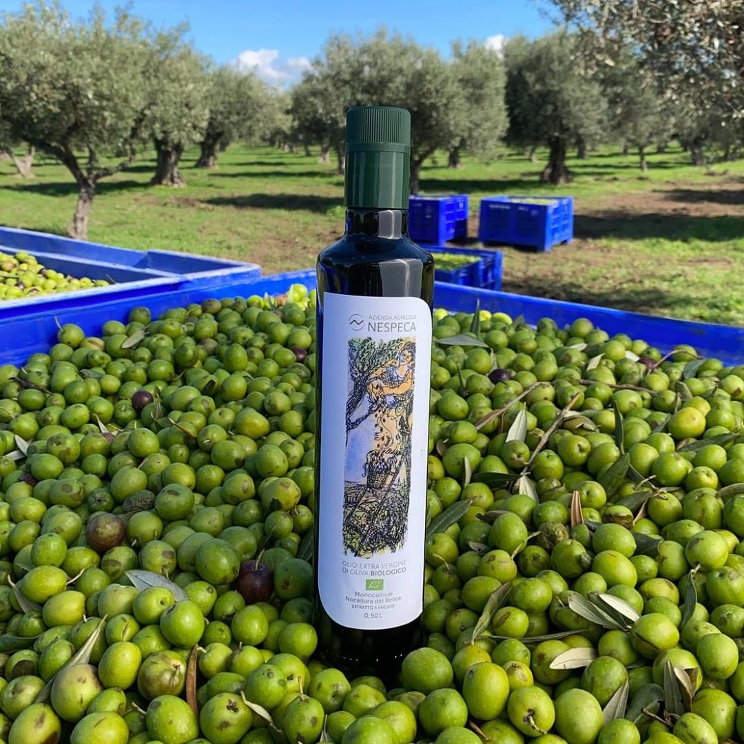 あたごのOlive様