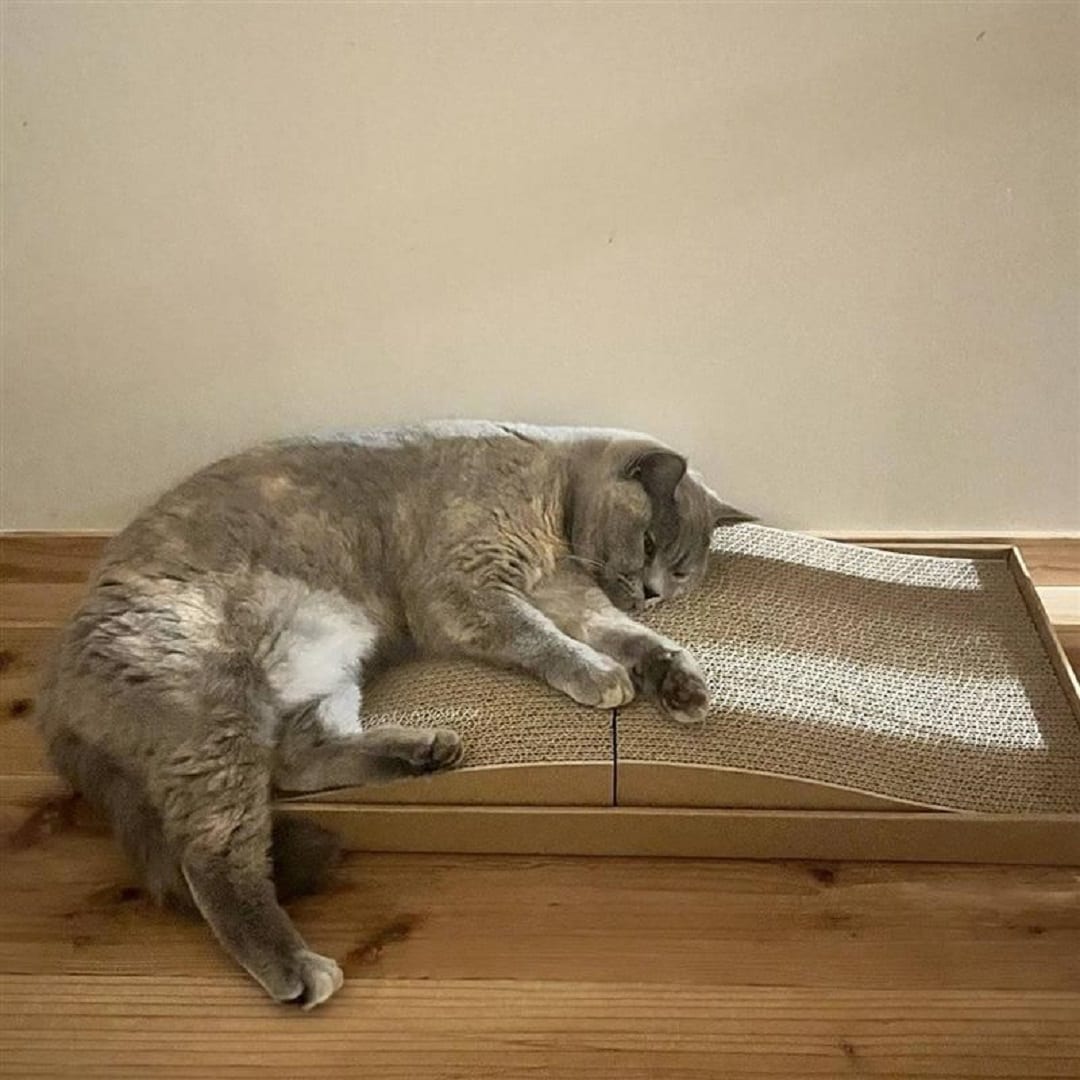 ぴのさん