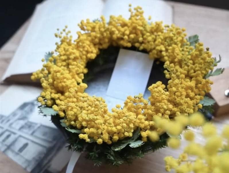 【シエスタハコダテ】『第73回 函館つながる市』2日目の出店者さまを紹介します