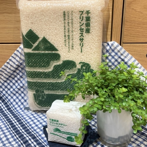 プリンセスサリーの画像