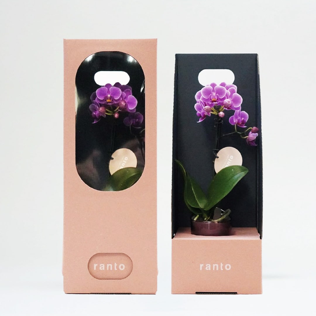 【マルエイガレリア】ワークショップ開催のお知らせ｜1月17日(土)