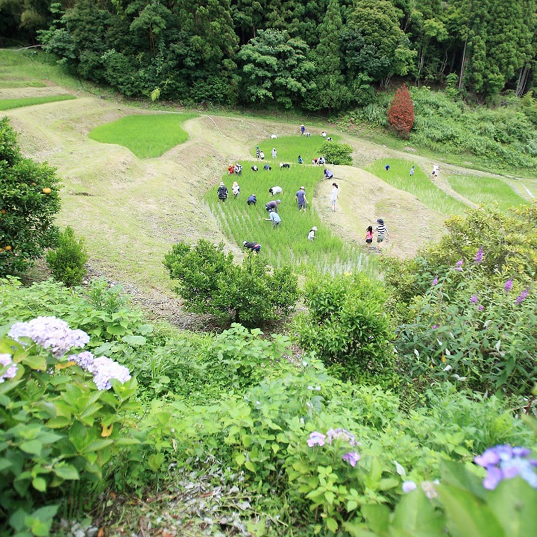 鴨川3