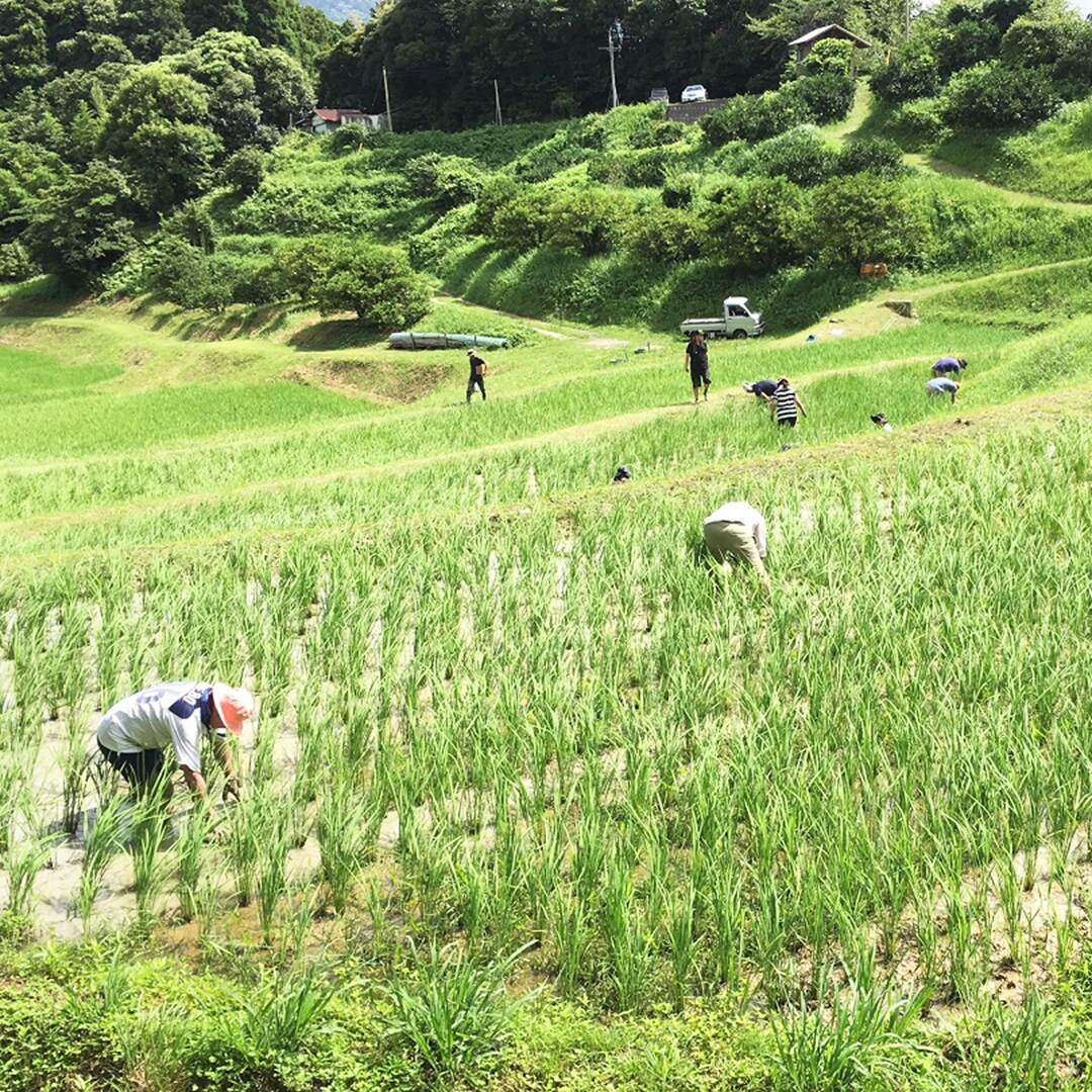 鴨川2