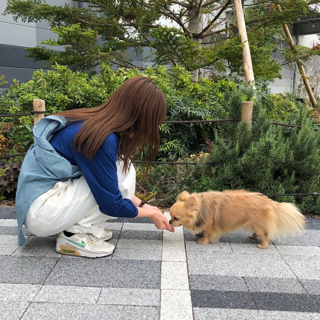 スタッフスナップ