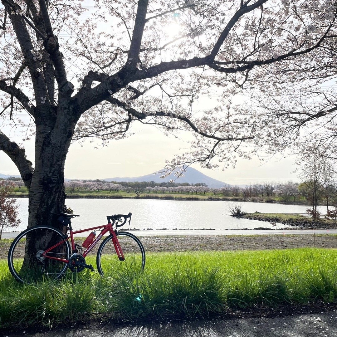 【カスミ岩瀬】自転車で巡る「いばらきロード」
