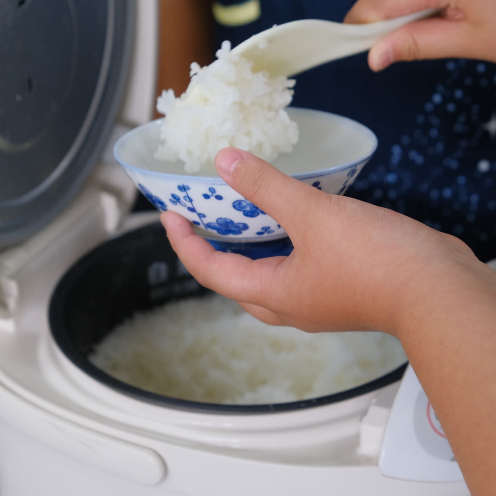 ししょく