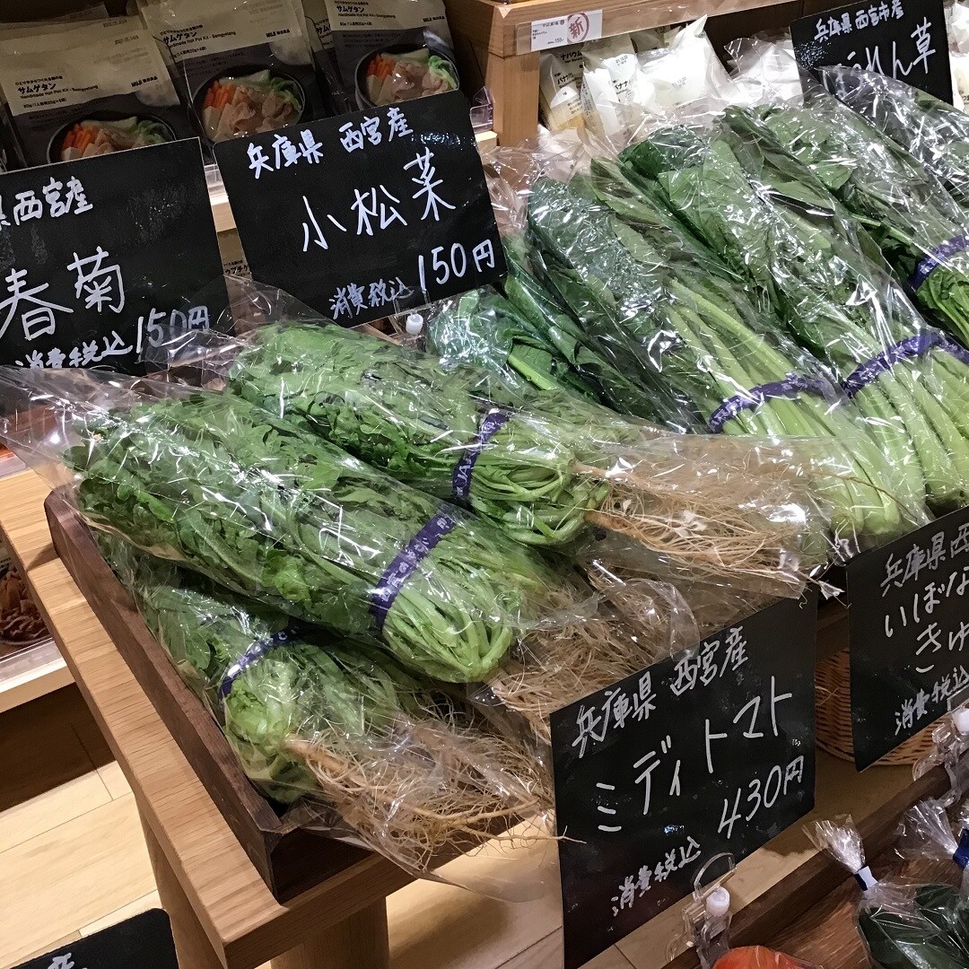 春菊