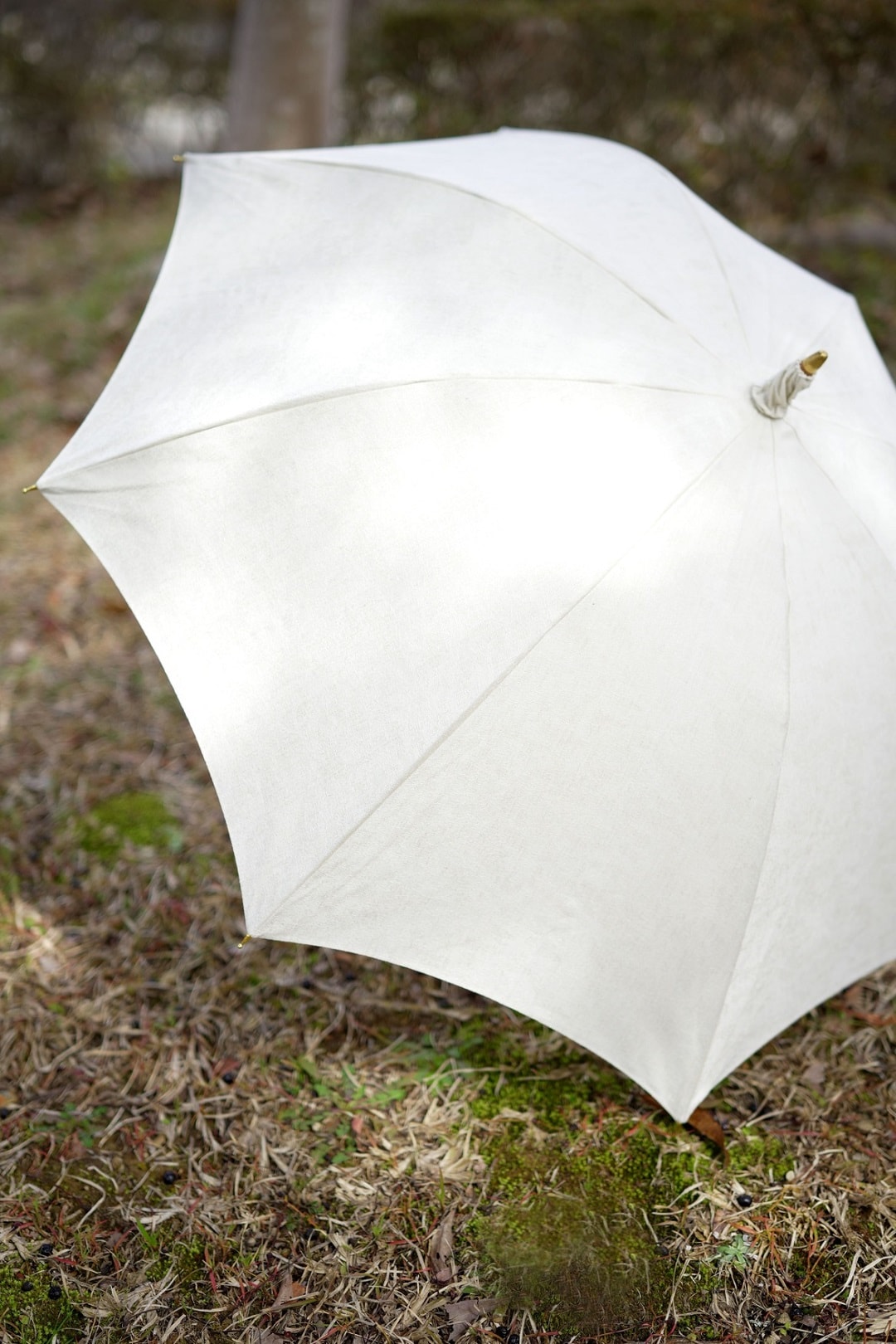 Hatsutokiビジュアル２