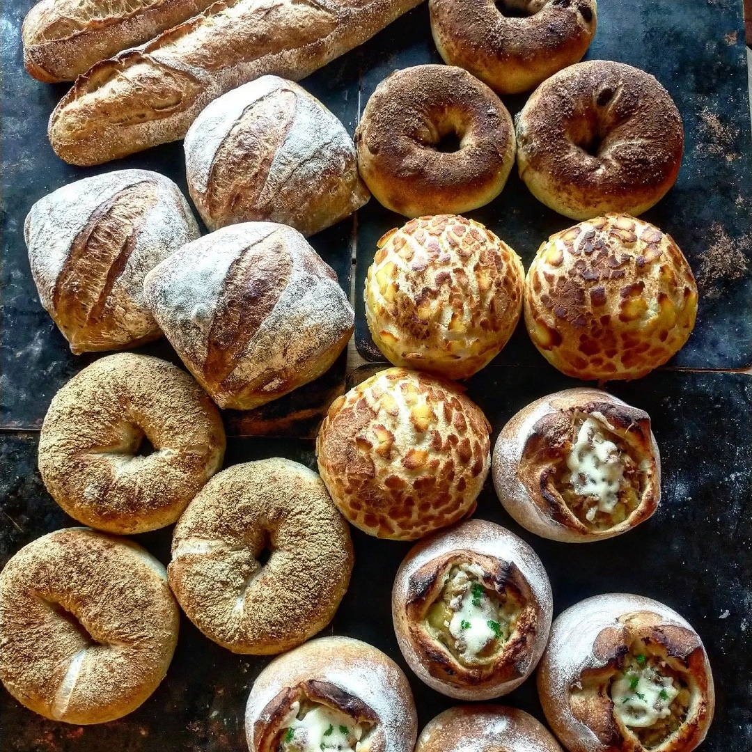 第60回つながる市　tane-lab toya