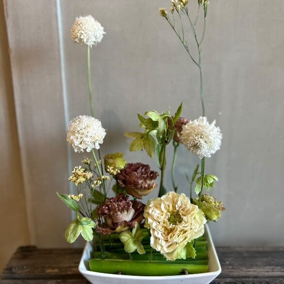 苔玉２