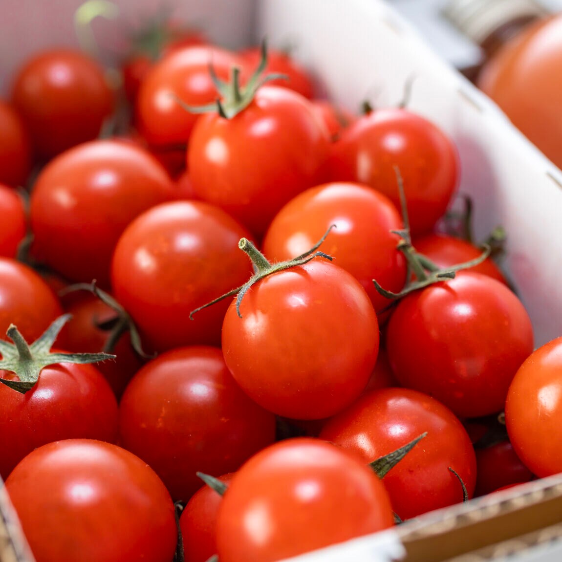 【シエスタハコダテ】道南つながる市出店者紹介(長万部町・奥尻町・八雲町)