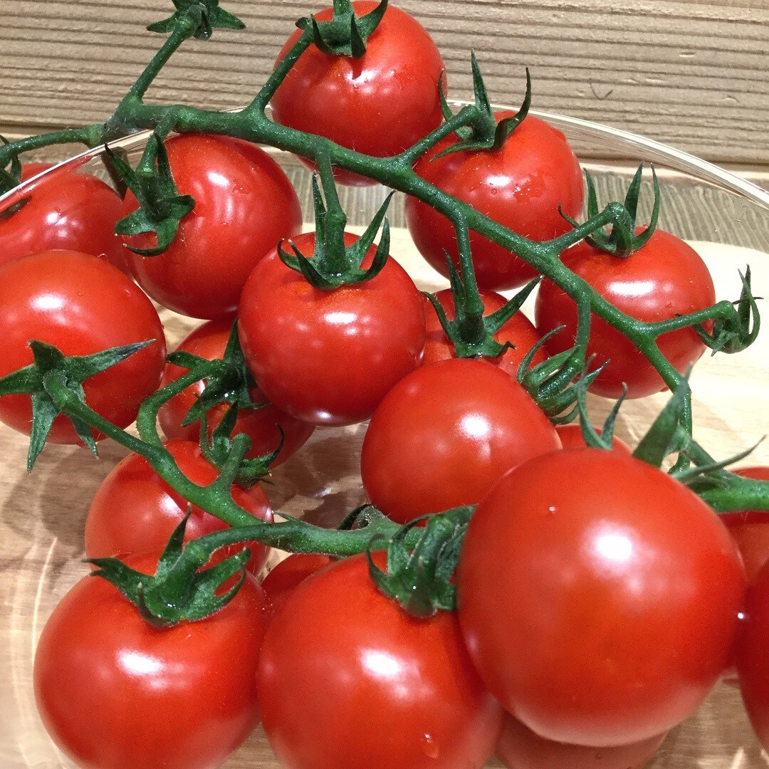 tomatoup