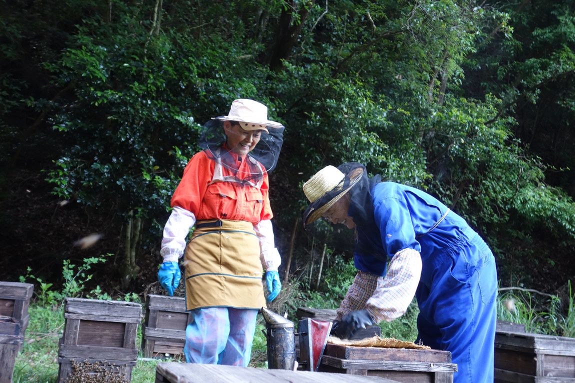 堺北花田】雅蜂園の国産蜂蜜がけソフトクリーム 期間限定販売｜周年市