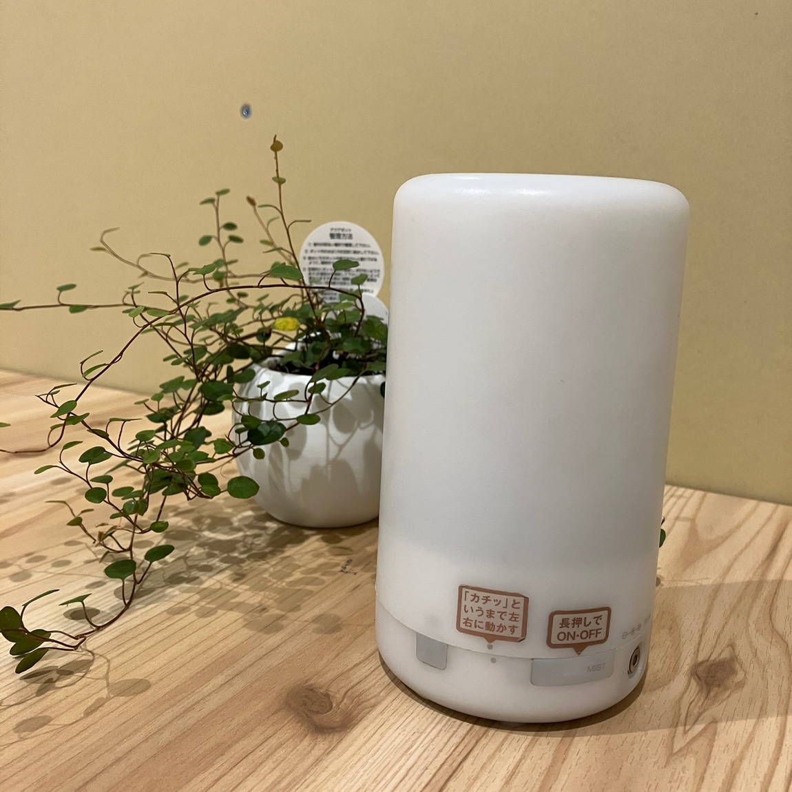 西友荻窪】夏の乾燥対策とリフレッシュに｜ 無印良品
