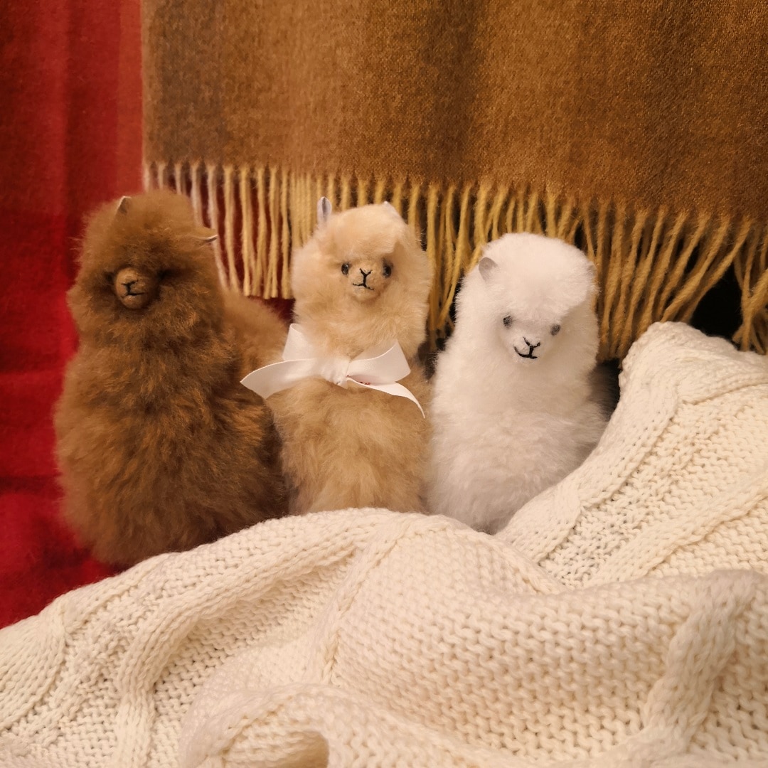 elvang アルパカ ぬいぐるみ ELVANG ハンドメイド elvang｜アルパカ テディ 20*20 | KONCENT Web shop｜アッシュ