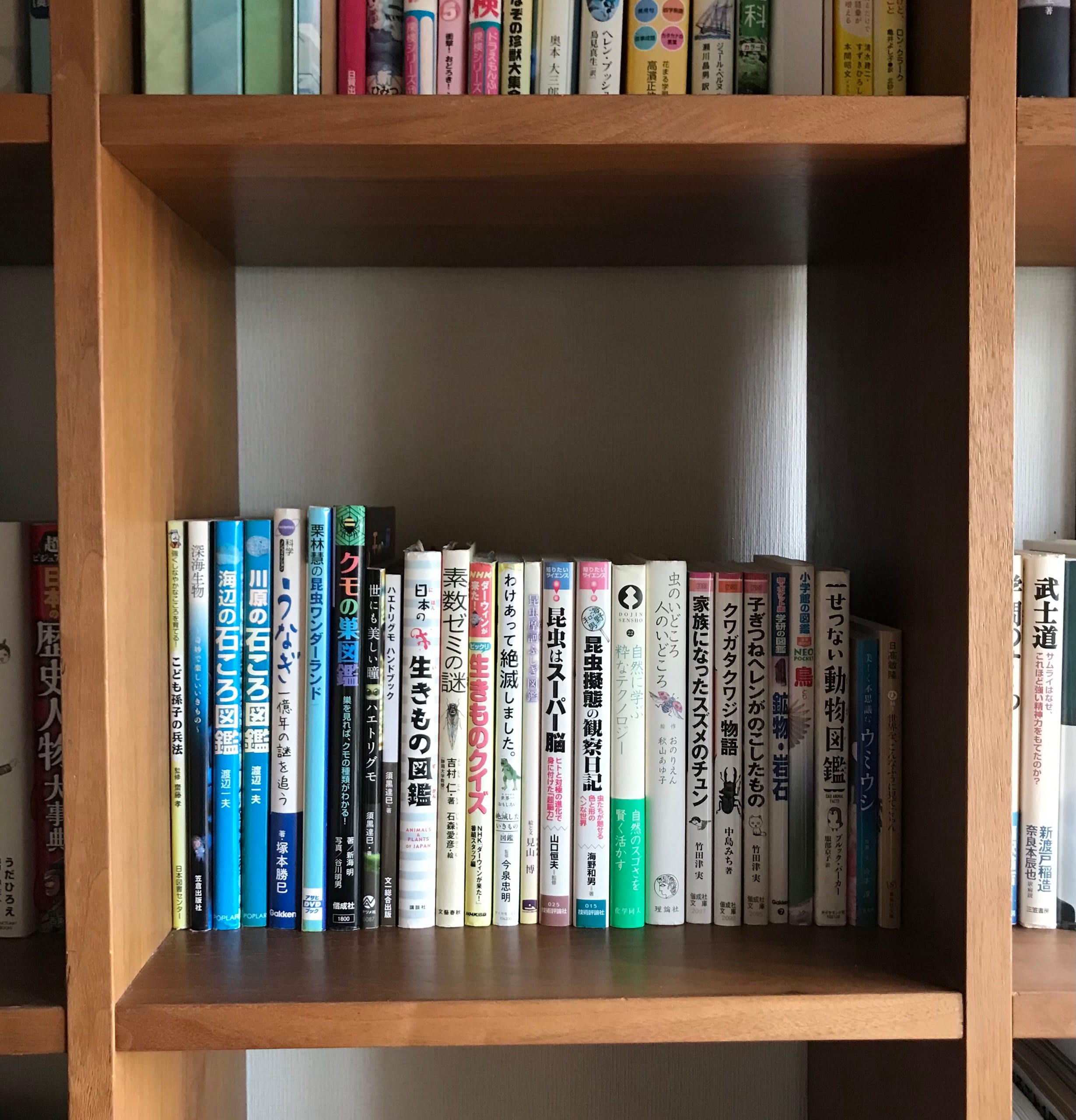 西友荻窪】スタッフのおすすめ｜スタッキンングシェルフ｜ 無印良品