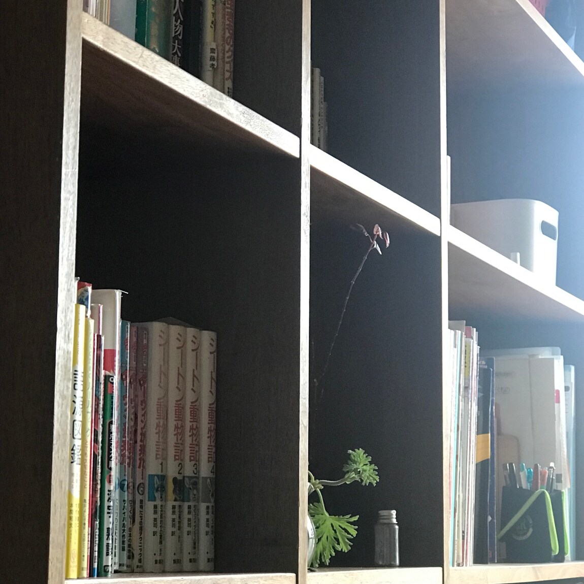 西友荻窪】スタッフのおすすめ｜スタッキンングシェルフ｜ 無印良品