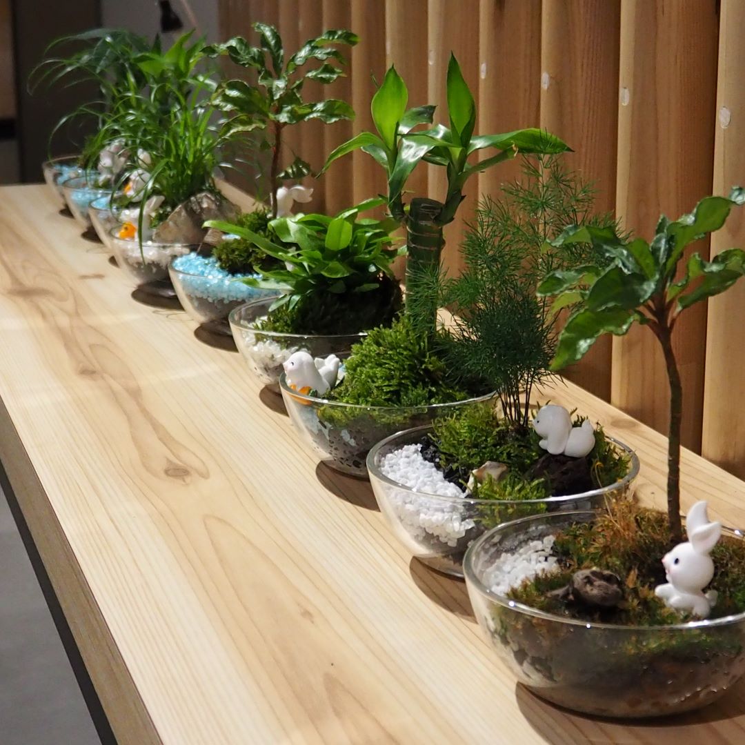 直江津】第2回寄せ植えワークショップ開催しました｜無印良品 直江津